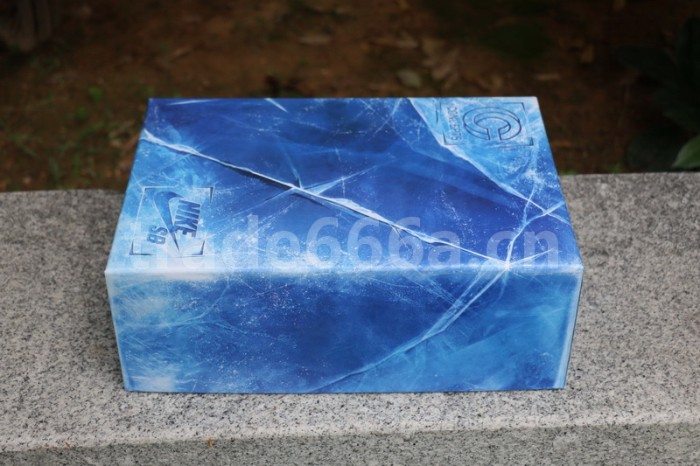 Authentic Nike Dunk SB Concepts Purple Lobster