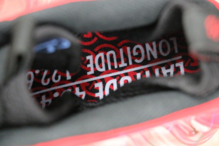 Nike Air Foamposite One “Doernbecher”