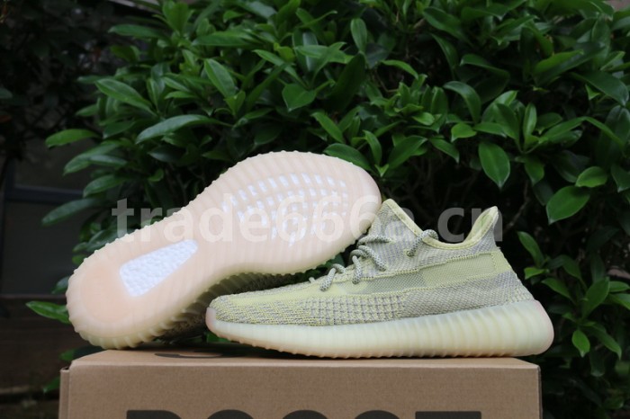 Authentic Yeezy Boost 350 V2 “ANTLIA”