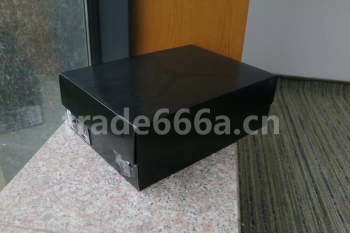 Authentic Air Jordan 4 “Black Cat” 2020