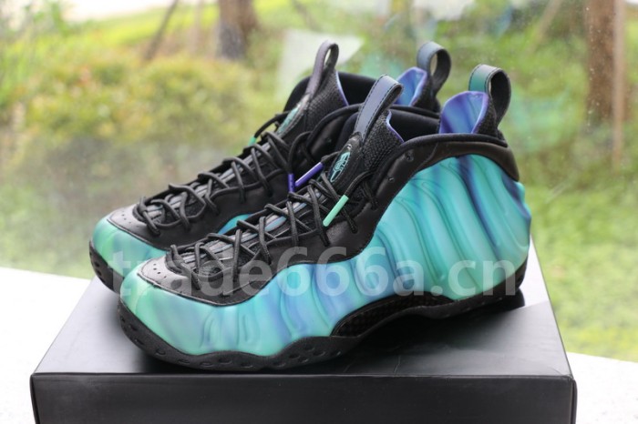 Authentic Nike Air Foamposite One “Northern Lights”