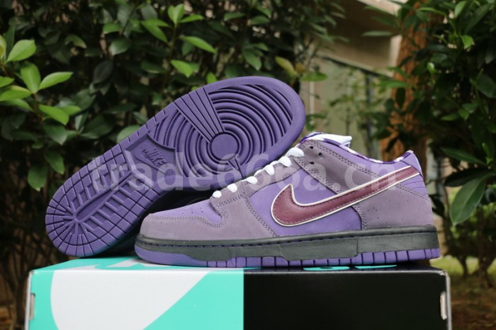 Authentic Nike Dunk SB Concepts Purple Lobster
