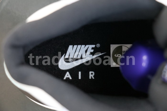 Authentic Air Jordan 11 “Concord” Retro 2018