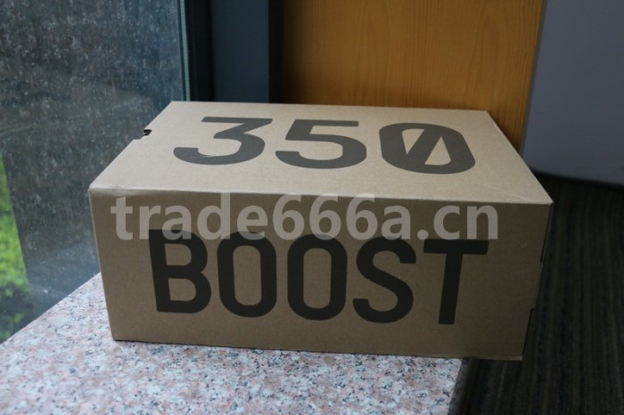 Authentic Yeezy Boost 350 V2 “ANTLIA” （full reflective）