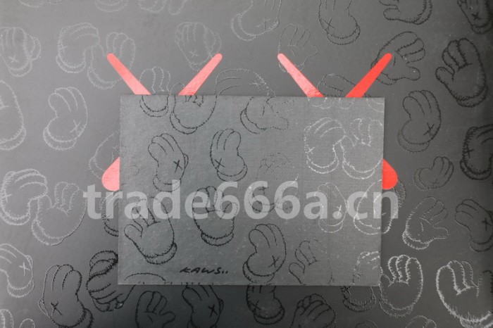 Authentic Kaws x Air Jordan 4 “Cool Grey”