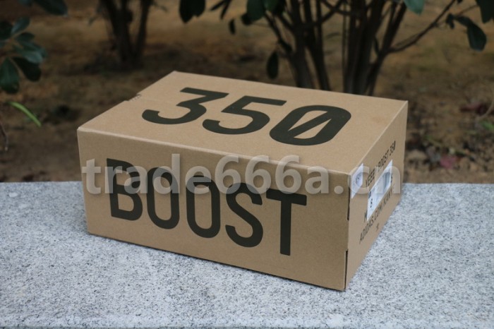 Authentic Yeezy Boost 350 V2 Static(full reflective)