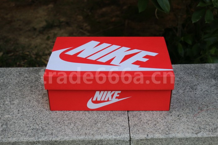 Authentic Nike Dunk High “Michigan”