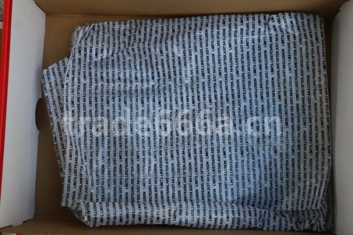 Authentic Blue The Great x Air Jordan 1 Mid “Fearless”