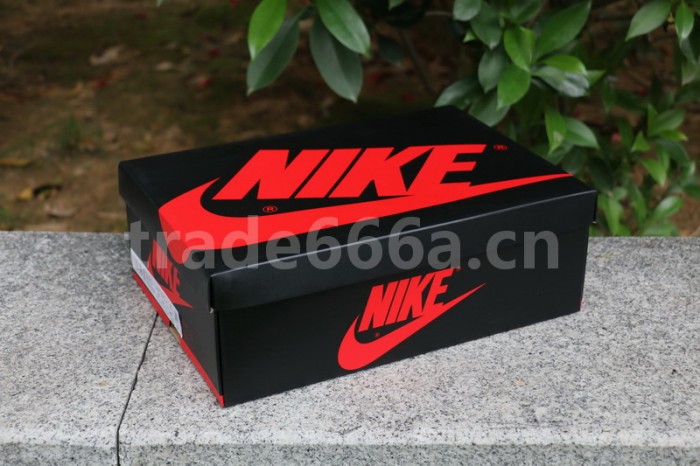 Authentic Air Jordan 1 High OG “Dark Mocha”