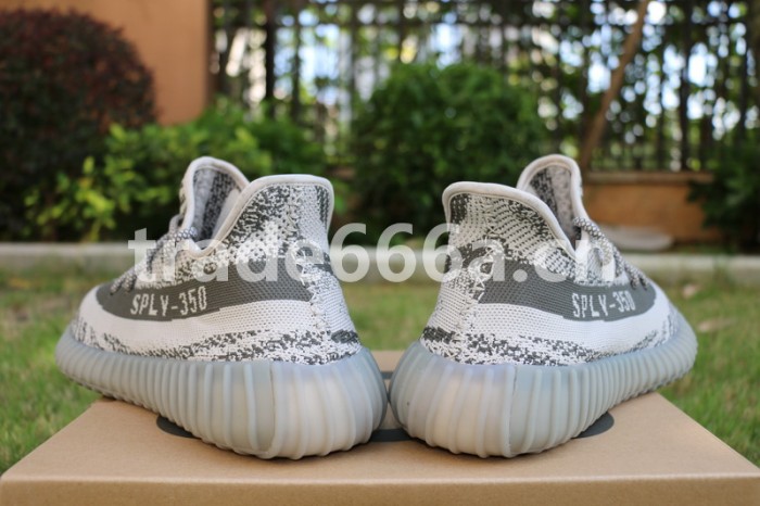 Authentic AD Yeezy 350 V2 Turtle Dove