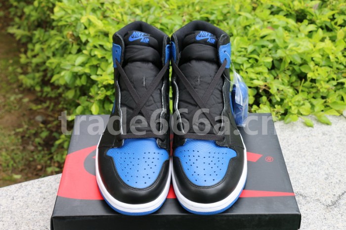 Authentic Air Jordan 1 “Royal” 2017