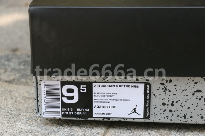 Authentic Air Jordan 4 NRG Raptors