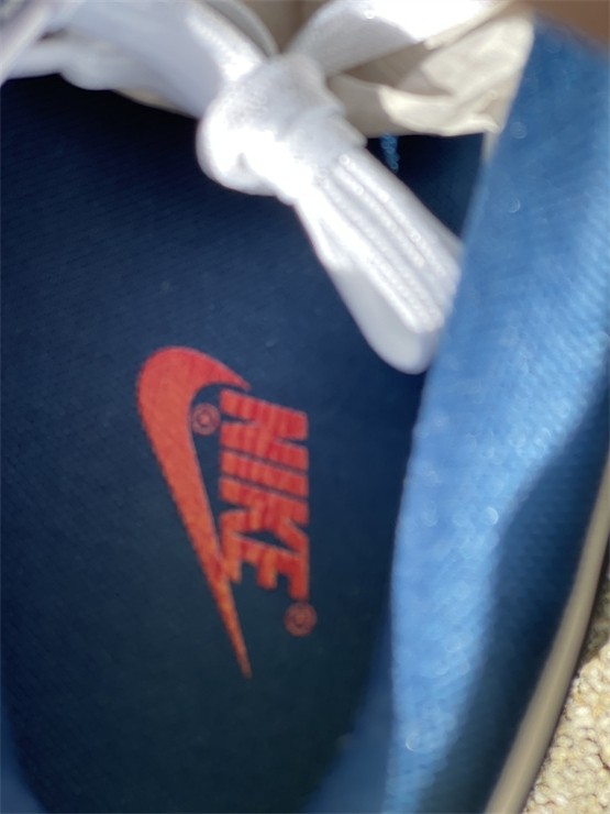 Authentic Nike Dunk Low＂Valerian Blue＂