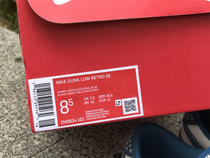 Authentic Nike Dunk Low DV0834-101