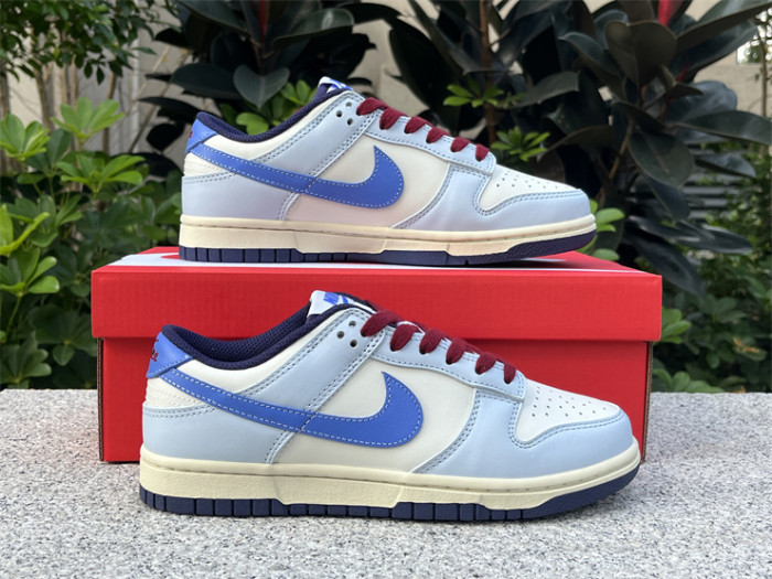 Authentic Nike Dunk Low FV8113-141