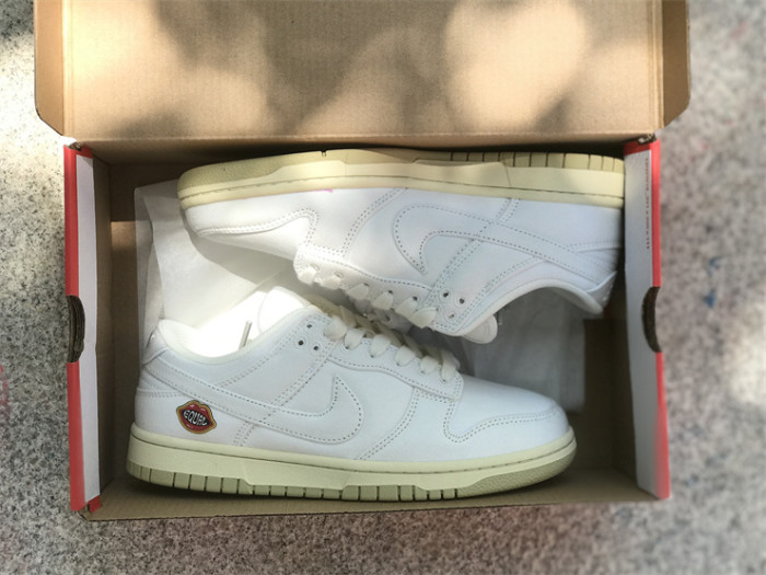 Authentic Nike Dunk Low “The Future is Equal”