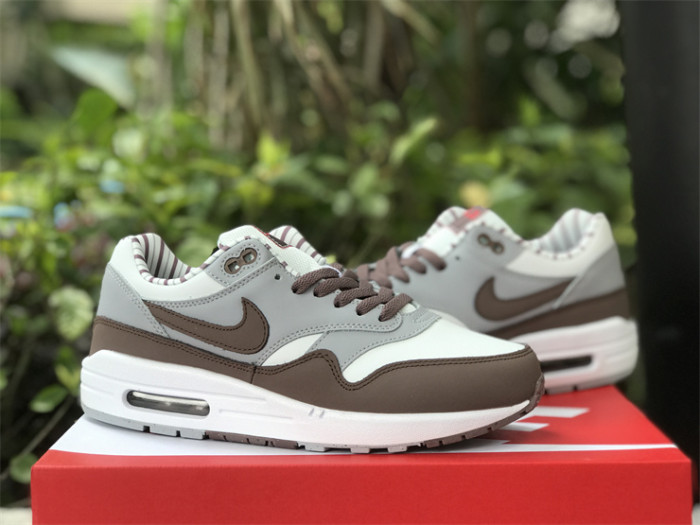 Authentic Nike Air Max 1 “Shima Shima”