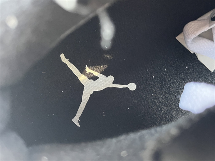 Authentic Air Jordan 6 “Reverse Oreo”