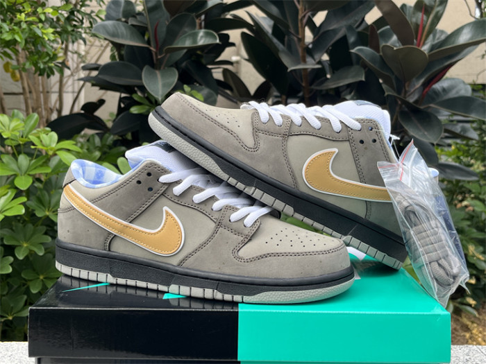Authentic Concepts x Nike SB Dunk Low Grey
