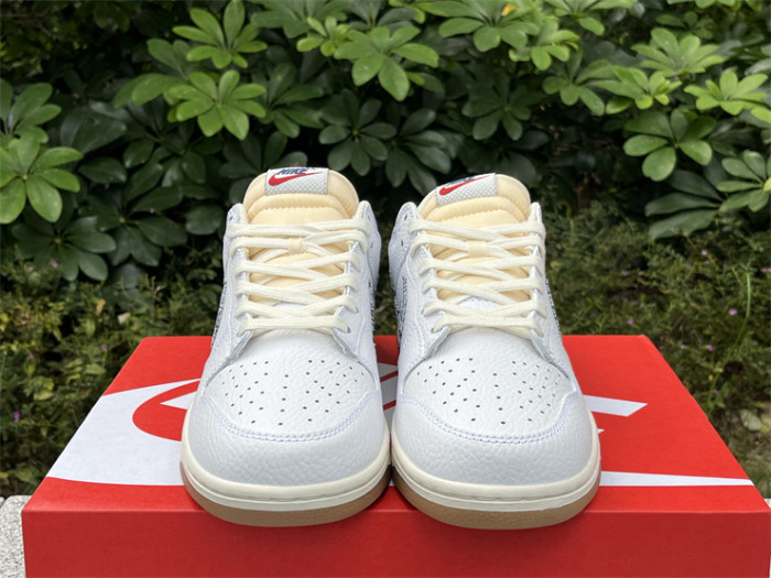 Authentic Nike Dunk Low “Washed Denim”