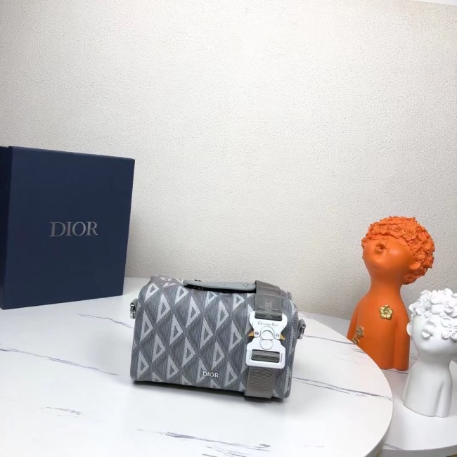 Dior High End Quality Bags-119