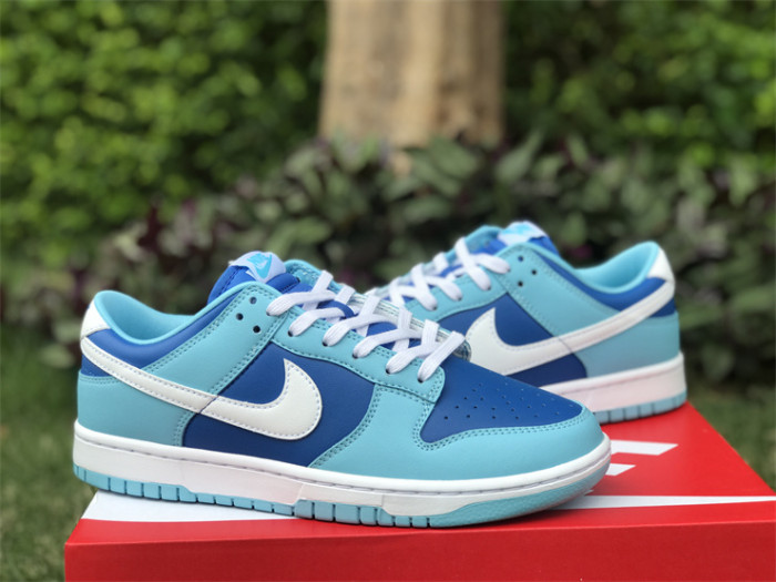 Authentic Nike Dunk Low “Argon”