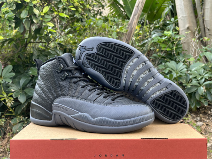 Authentic Air Jordan 12 Black Wolf Grey”