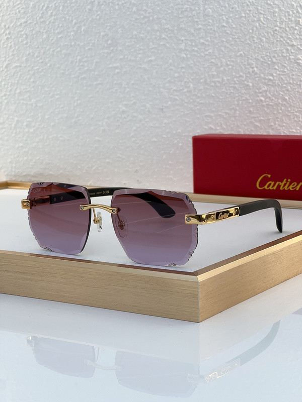 Cartier Sunglasses AAAA-5770