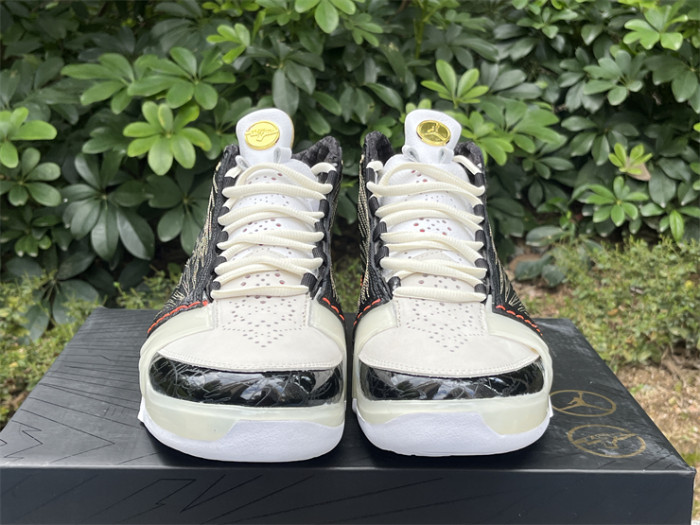 Authentic Titan x Air Jordan 23 Retro SP 10th Anniversary