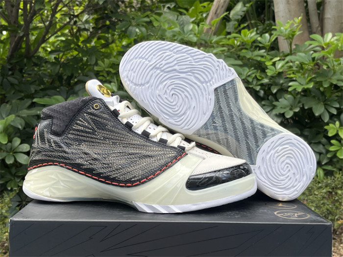 Authentic Titan x Air Jordan 23 Retro SP 10th Anniversary