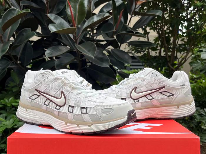 Authentic Nike P-6000 Shoes-009