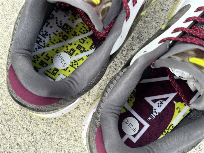 Authentic Nike Zoom Kobe V Protro “Chaos”