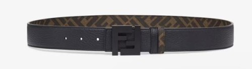 Super Perfect Quality FD Belts-860