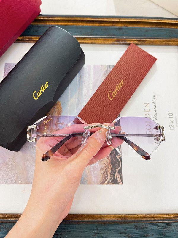 Cartier Sunglasses AAAA-5893