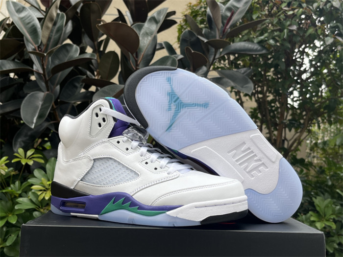 Authentic Air Jordan 5 “Grape” 2025