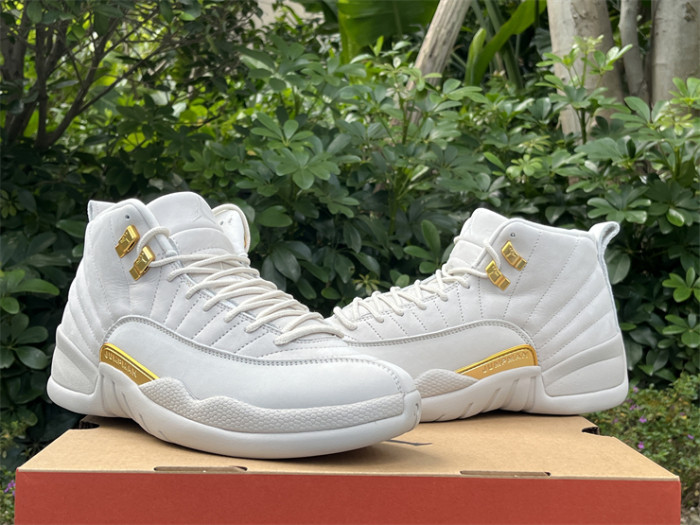 Authentic Air Jordan 12 “Phantom”