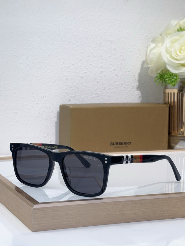 Burberry Sunglasses AAAA-3039