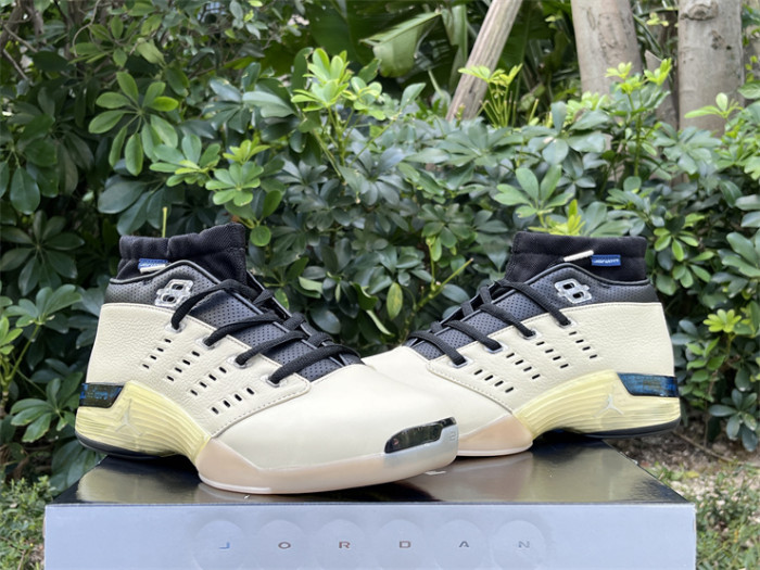 Authentic Infinite Archives Air Jordan 17 Low Beach