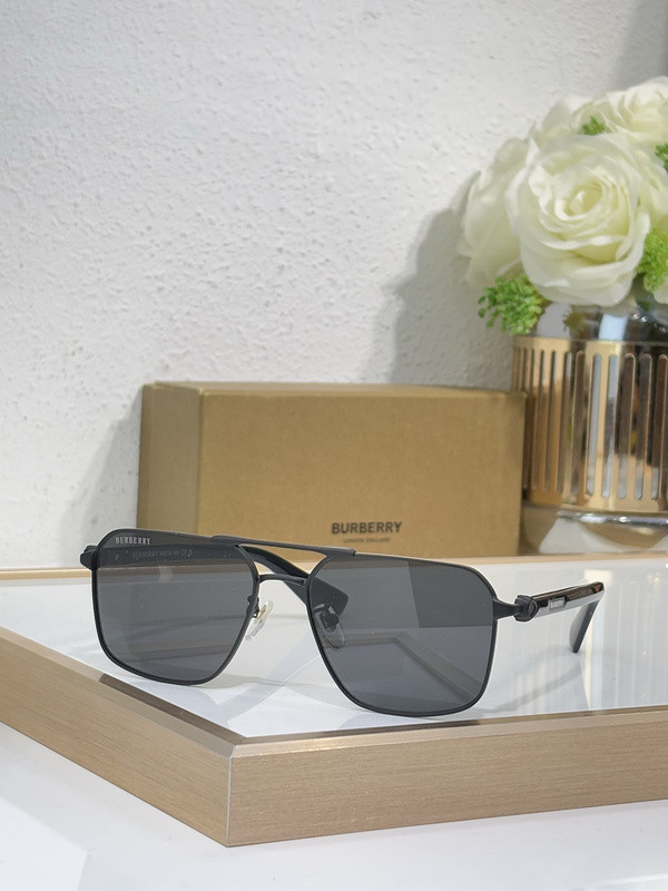 Burberry Sunglasses AAAA-3190