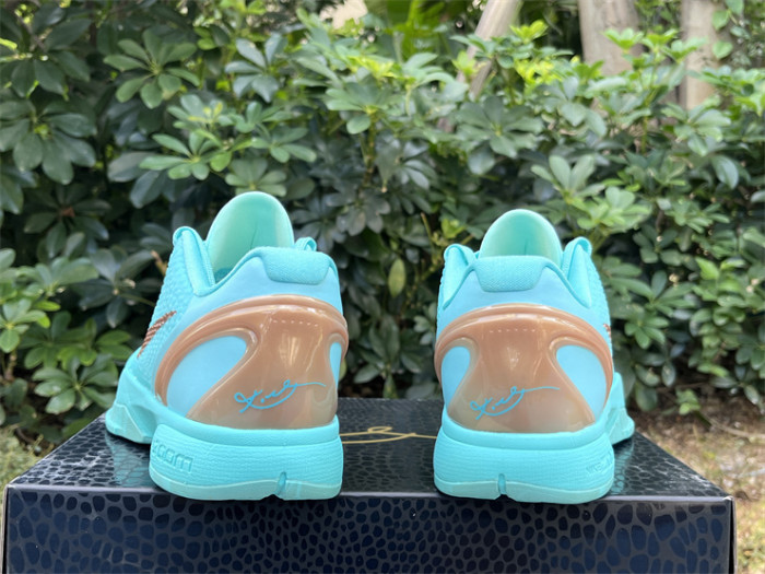 Authentic Jalen Brunson's Nike Kobe 6  Statue of Liberty  PE