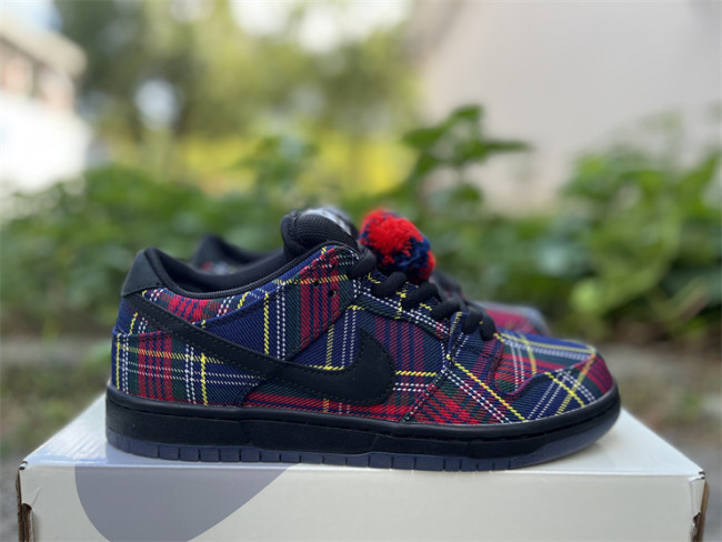 Authentic Nardwuar's Nike SB Dunk Low