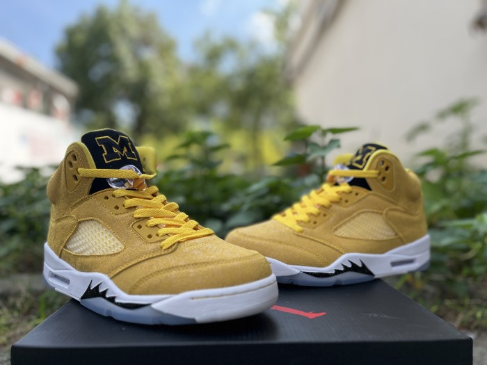 Authentic Air Jordan 5 “Michigan” PE