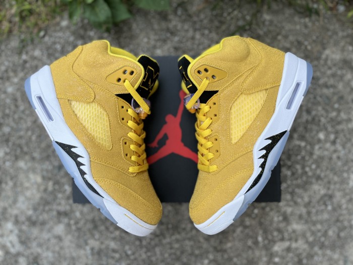 Authentic Air Jordan 5 “Michigan” PE