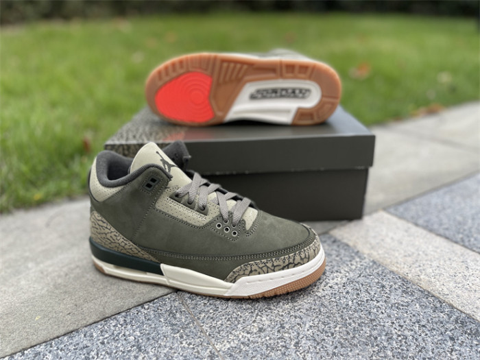 Authentic Air Jordan 3 Retro  Family Affair