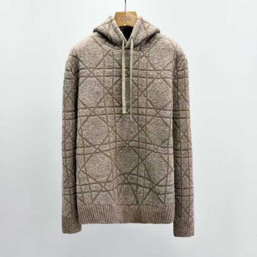 Dior Hoodies High End Quality-218