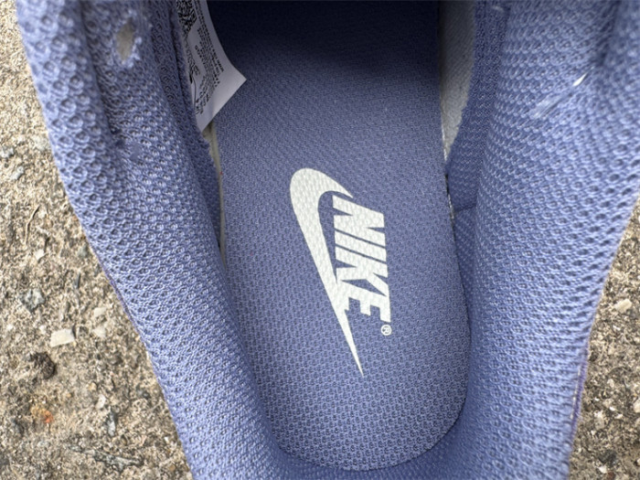 Authentic Nike Dunk Low World Indigo Mini Swoosh