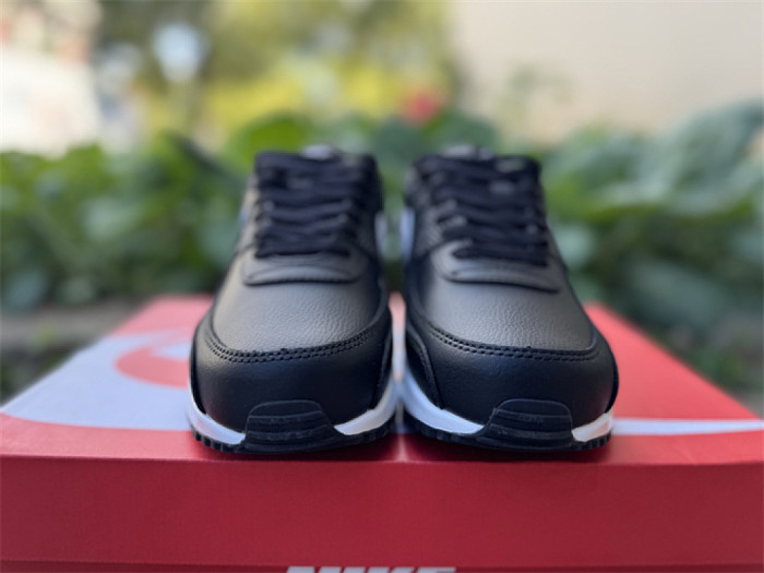 Authentic Air Max 90 Shoes-003