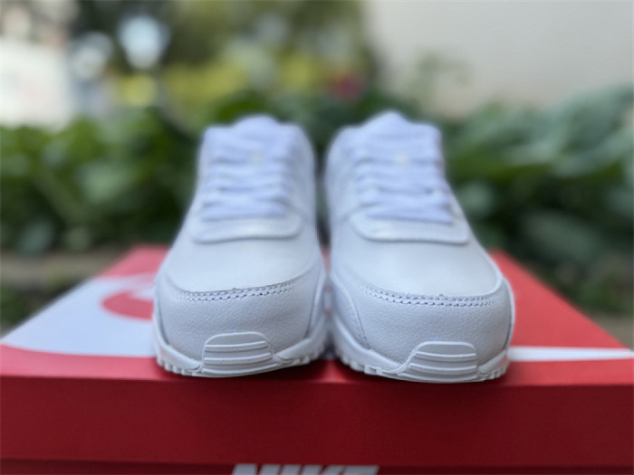 Authentic Air Max 90 Shoes-002