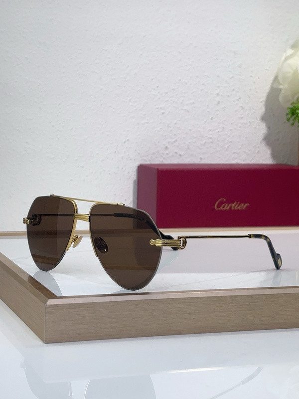 Cartier Sunglasses AAAA-10064