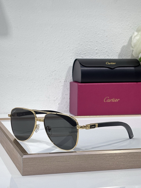 Cartier Sunglasses AAAA-9534